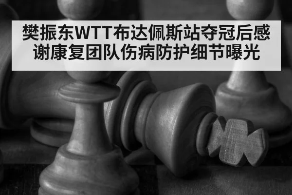 樊振东WTT布达佩斯站夺冠后感谢康复团队伤病防护细节曝光