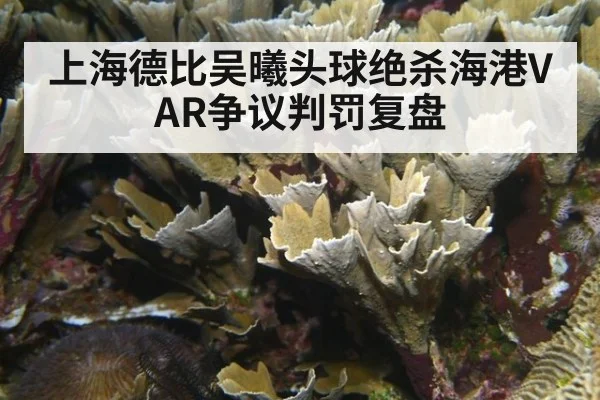 上海德比吴曦头球绝杀海港VAR争议判罚复盘